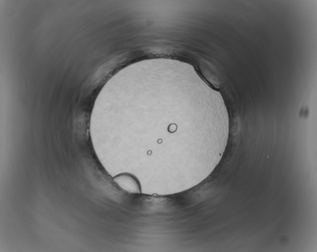 X0000111520428200908111207