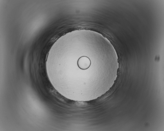 X0000111520429200908111207