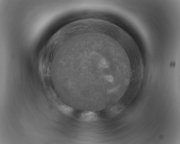 X0000111520431200908111207