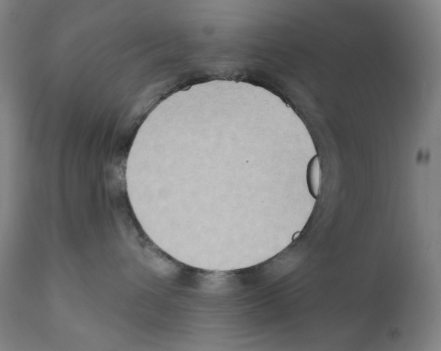 X0000111520432200908111207