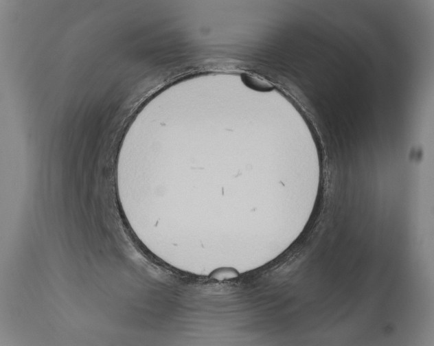 X0000111520433200908111206