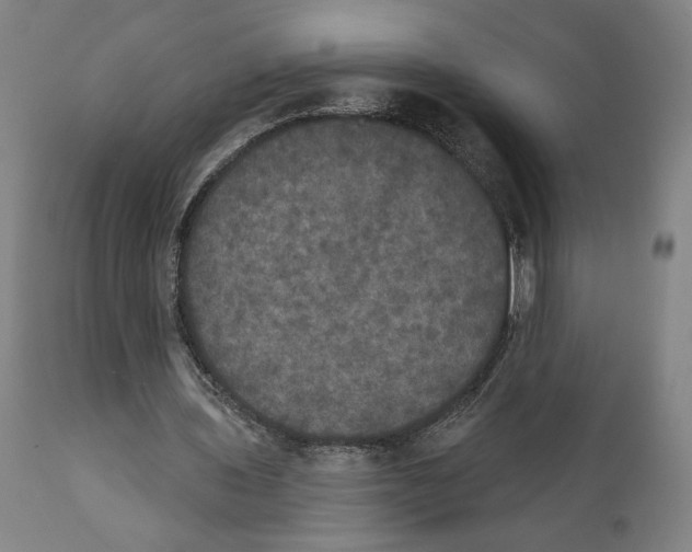 X0000111520435200908111206