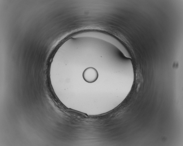 X0000111520436200908111206