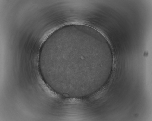 X0000111520437200908111206