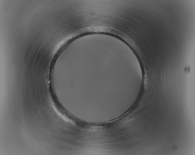 X0000111520438200908111206