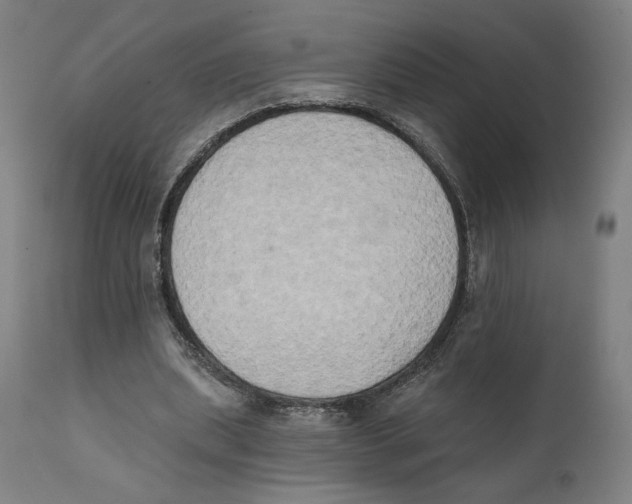 X0000111520439200908111206