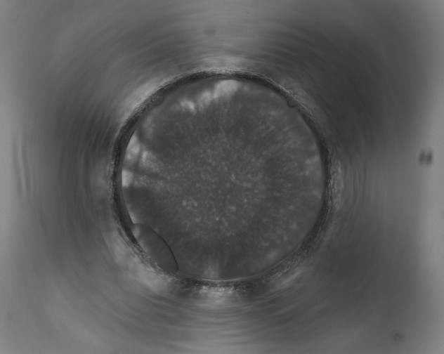 X0000111520440200908111206