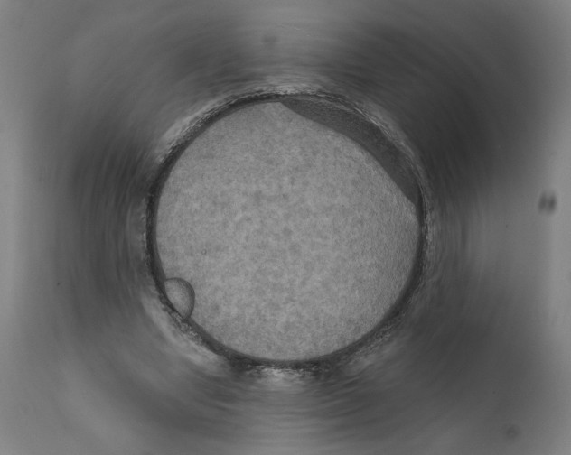 X0000111520442200908111206