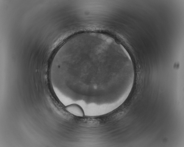 X0000111520443200908111206