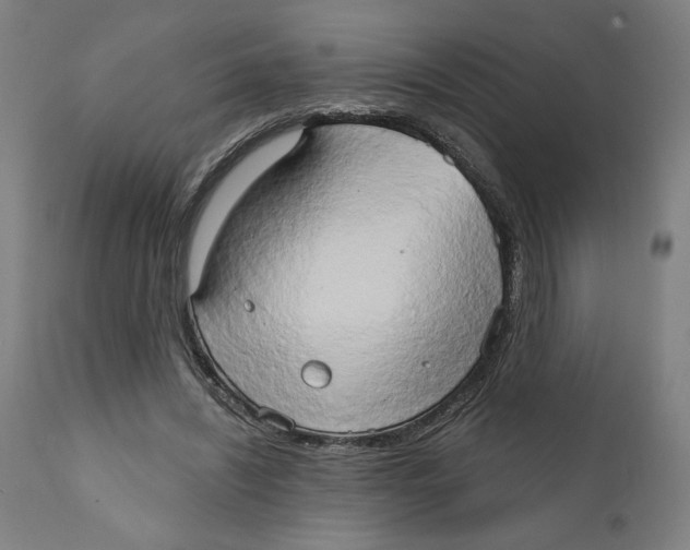 X0000111520444200908111206