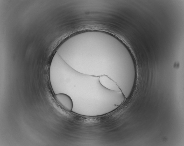 X0000111520445200908111206