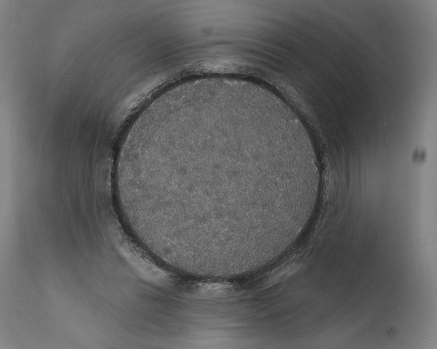 X0000111520446200908111206