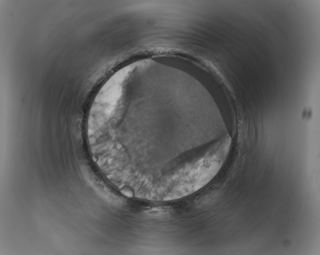X0000111520447200908111206