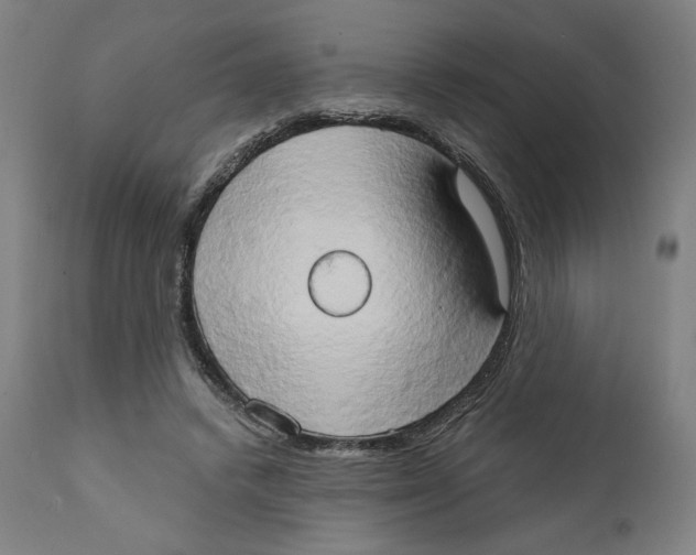 X0000111520448200908111206