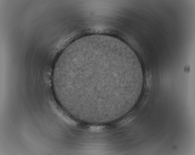 X0000111520450200908111206