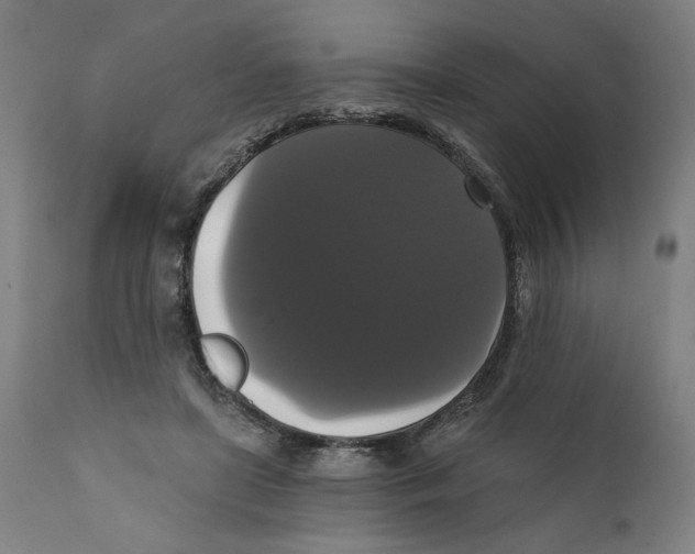 X0000111520451200908111206