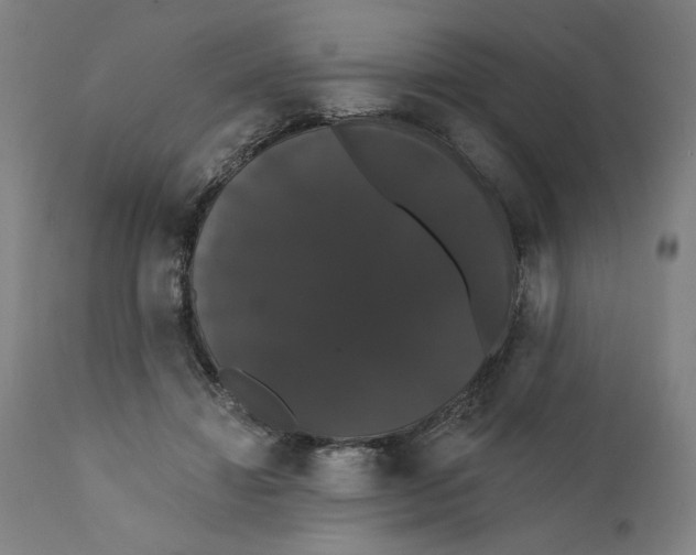 X0000111520452200908111206