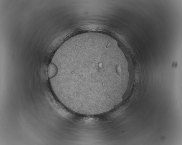 X0000111520453200908111206