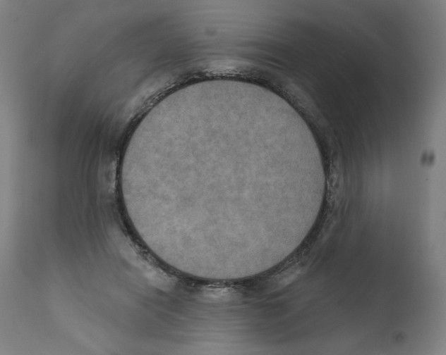 X0000111520454200908111206