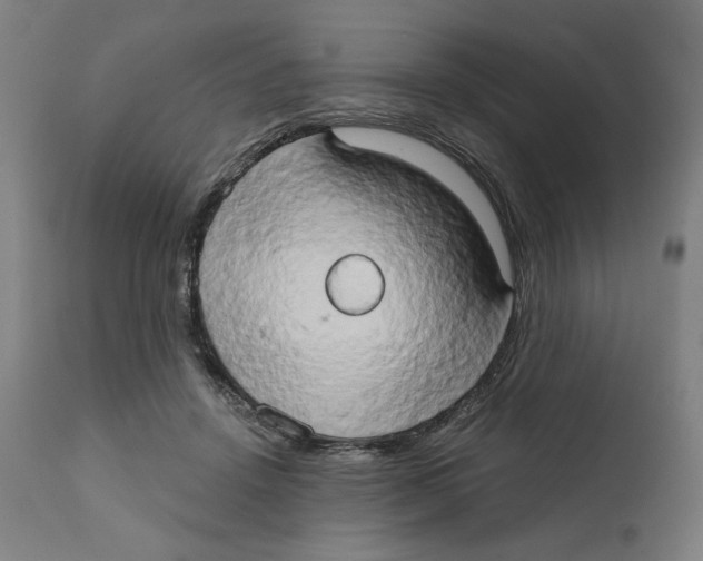 X0000111520456200908111206