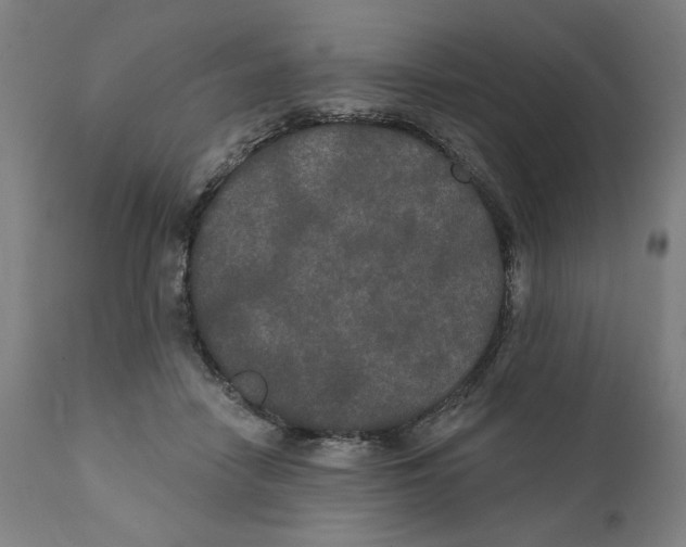 X0000111520458200908111206