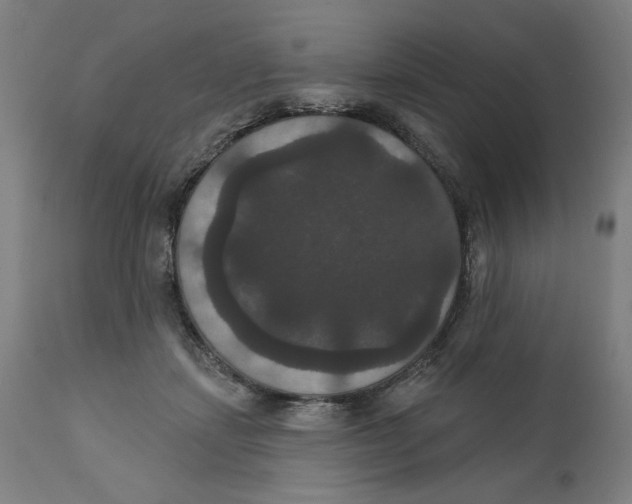 X0000111520459200908111206