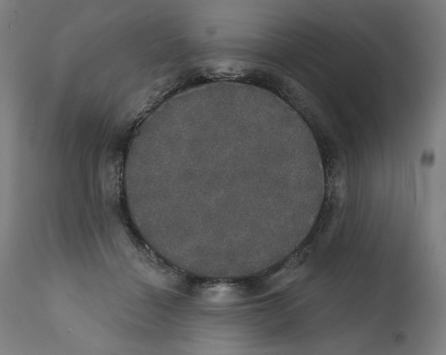 X0000111520460200908111206