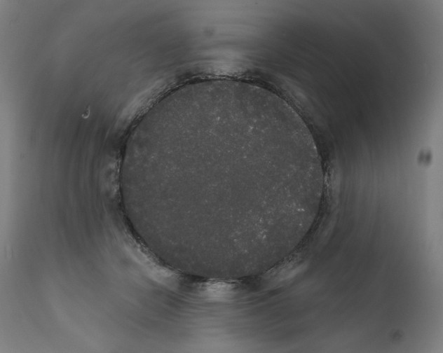 X0000111520462200908111206