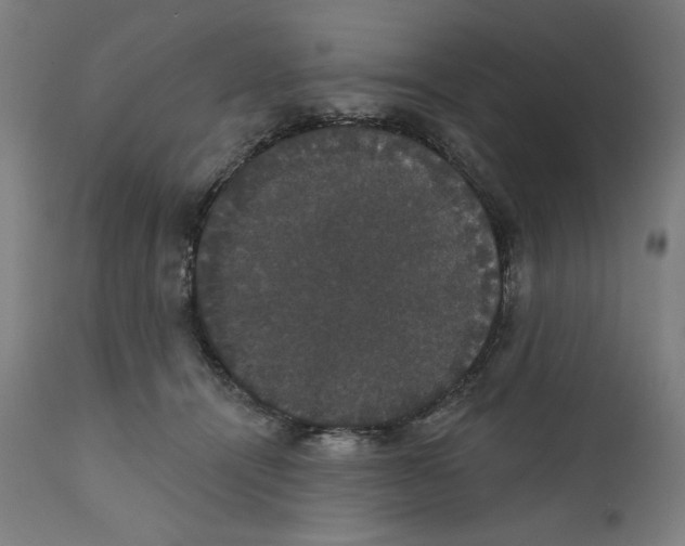 X0000111520464200908111206