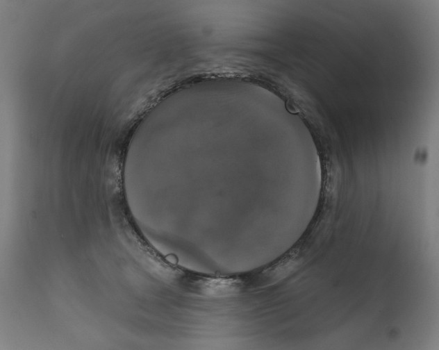 X0000111520465200908111206