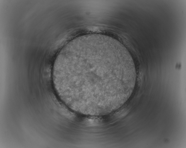 X0000111520466200908111206