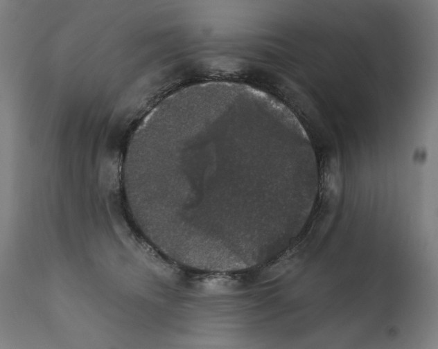 X0000111520468200908111206