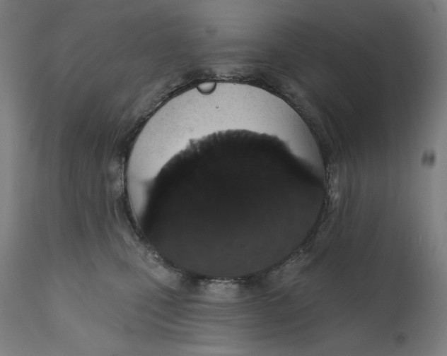 X0000111520471200908111206