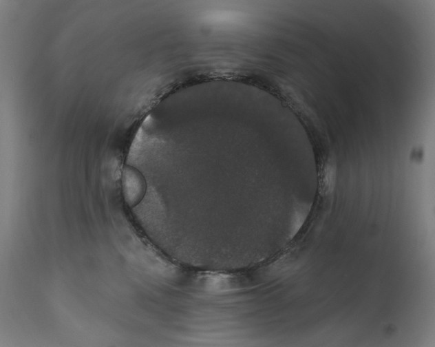 X0000111520472200908111206