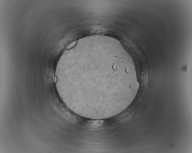 X0000111520474200908111206