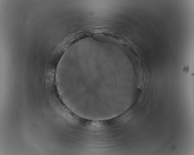 X0000111520475200908111206