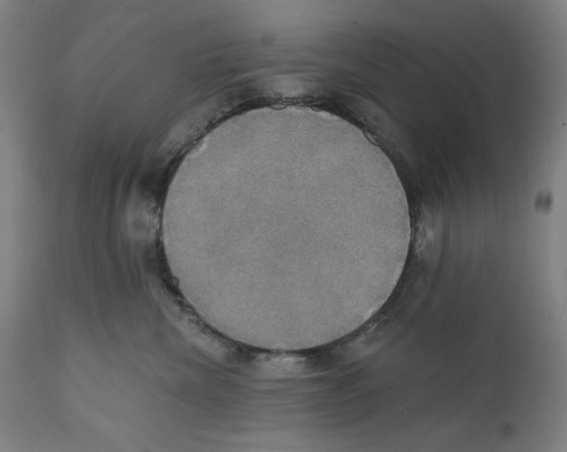 X0000111520476200908111206