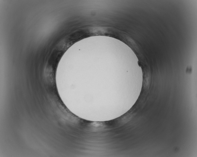 X0000111520477200908111206