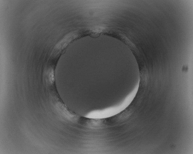 X0000111520479200908111207