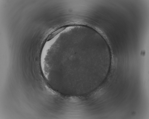 X0000111520481200908111206