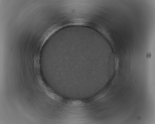 X0000111520483200908111206
