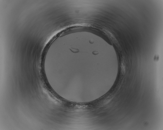 X0000111520484200908111206
