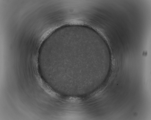 X0000111520487200908111206