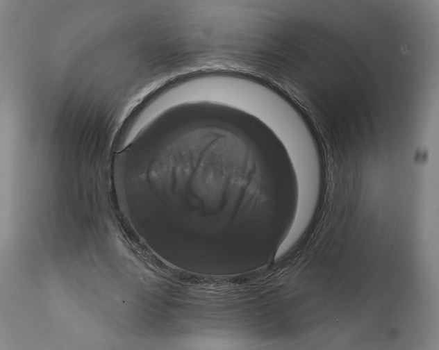 X0000111520488200908111206
