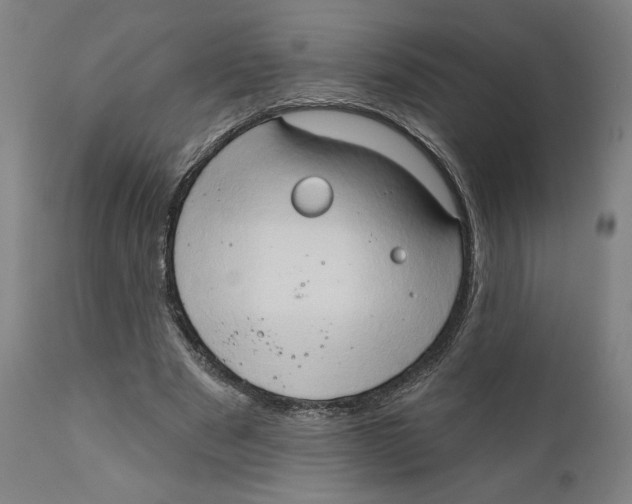 X0000111520489200908111206