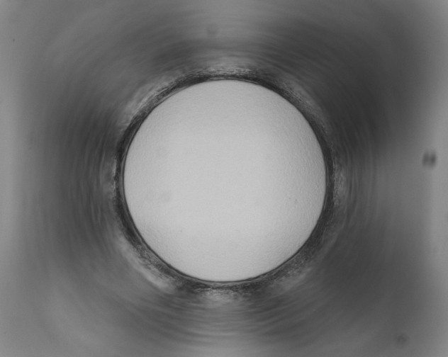 X0000111520490200908111206