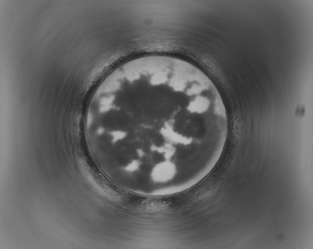 X0000111520491200908111206