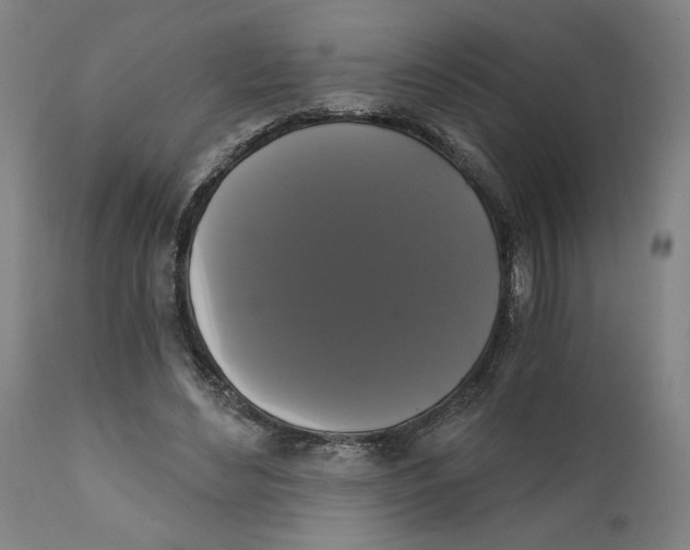 X0000111520492200908111206