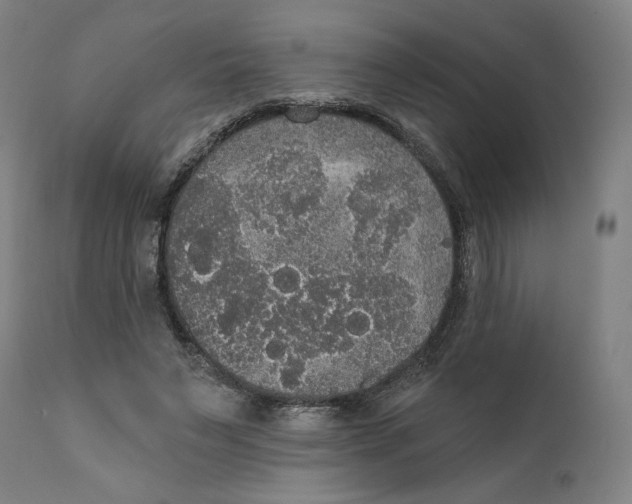 X0000111520495200908111206