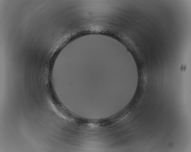X0000111520496200908111206